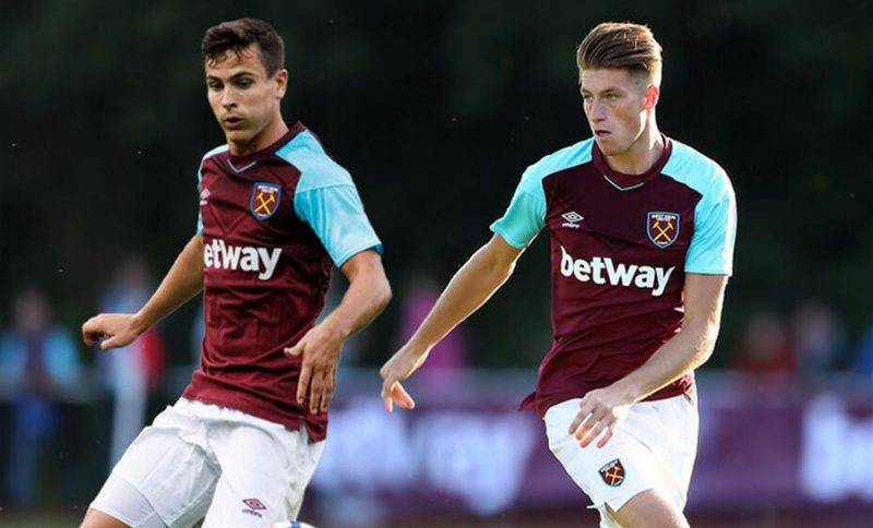 展现出极高 展现出极高